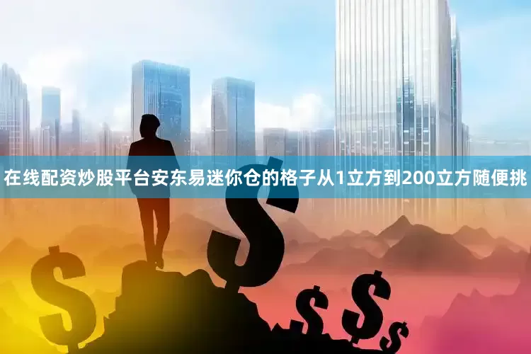 在线配资炒股平台安东易迷你仓的格子从1立方到200立方随便挑