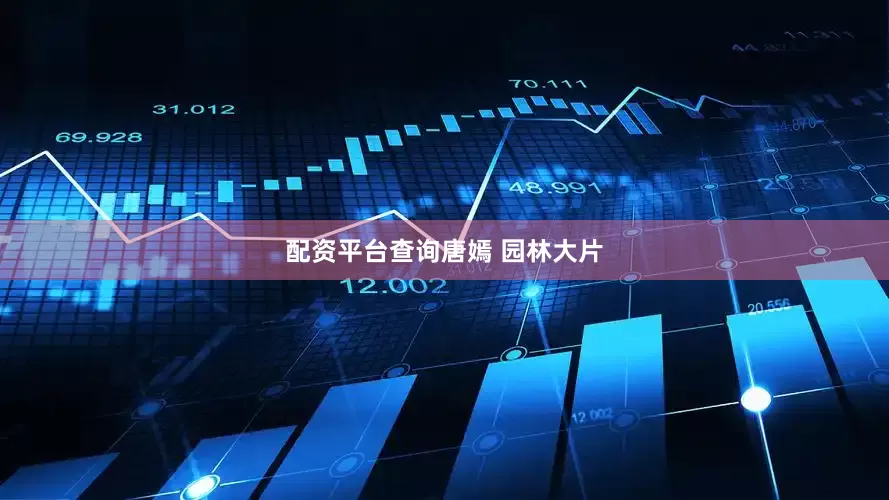 配资平台查询唐嫣 园林大片