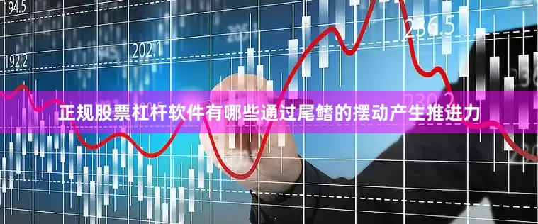 正规股票杠杆软件有哪些通过尾鳍的摆动产生推进力
